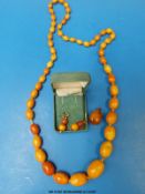 A butterscotch amber necklace of graduated oval beads (49g) together with an amber pendant