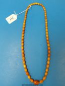 A necklace of graduated oval amber beads (35.