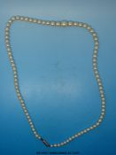 A single strand of cultured Ciro pearls with 9ct gold clasp