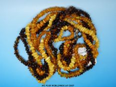 A five strand amber necklace of translucent,