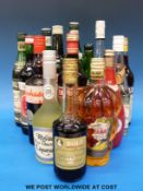 Fourteen bottle of alcohol to include Martini, Bols, Dubonnet, Campari, Maraschino 56% liqueur,
