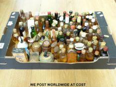 A collection of approximately 50 alcohol miniatures of blended whisky including Grouse, Haig,
