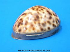 A silver-lidded snuff box fashioned from a Tiger Cowrie shell, with inscription dated 1849,