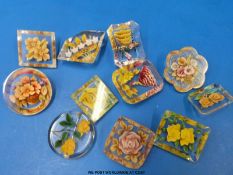Eleven lucite brooches in various shapes of floral design