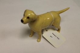A Beswick Figure : Labrador - Small, mod