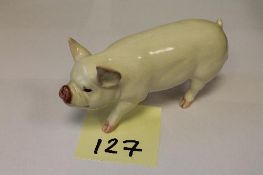 A Beswick Figure : Middlewhite Boar, mod