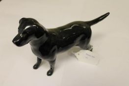 A Beswick Figure : Labrador - Solomon of
