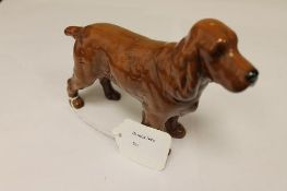 A Beswick Figure : Cocker Spaniel - Hors