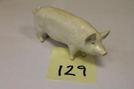 A Beswick Figure : Boar - Wall Champion