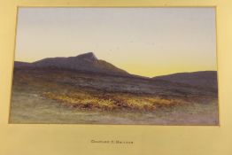 Charles Edward Brittan : Scottish moorla