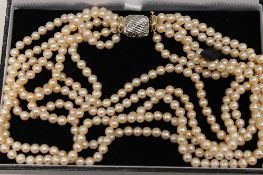 A five-strand pearl necklace with two-tone gold clasp, length 44 cm. CONDITION REPORT: Good