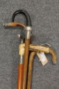 A collection of six walking sticks ranging from the late Victorian to the Edwardian eras. (6)