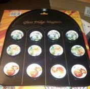 1 FULL CARTON CONTAINING 288 x GLASS SPORTS ORIENTATED FRIDGE MAGNETS WITH DISPLAY TRAYS