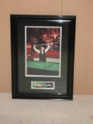 14 ½ x 20 ½ Dennis Taylor signed photo