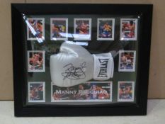 23 ½ x 20 Pacquiao Glove