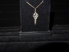 1 x 9 Carat Yellow Gold 18 Key Pendant and Chain. Great Piece. Original Manufacturers RRP £109!