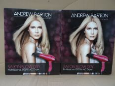 2 x Andrew Barton Professional Salon Blow Dry Professional 2100W AC Dryer. High retail value!