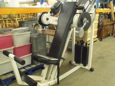Techno Gym Professional Pullover Machine with 100kg Weights