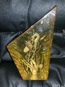 Taxidermy Seahorses - INCLUDES FREE UK DELIVERY