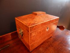 GEORGE III AMBOYNA & YEW TEA CADDY CIRCA 1790 Amboyna with yew internal lids. Brass Ring Handles.