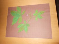 Water painting of leaves on brown paper signed R Kray prisoner number 327416