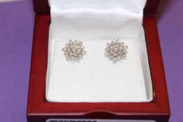 A Beautiful, Stunning pair of 38 x Diamonds and 9 carat Gold stud earrings.