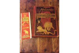 Rev J G Wood - Wood's New Illustrated Natural History - c1878 - With original hand painted bookmark