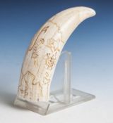 Reserve: 80 EUR        Pottwalzahn 