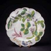 A rare large Chelsea 'Hans Sloane' dish: with lobed rim, painted with botanical specimens,