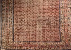 A Saraband carpet:, the brick red field with an all over geometric boteh design,