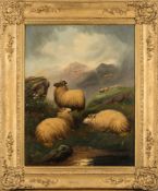 John W Morris [1865-1924]-
Sheep in the highlands:-
signed bottom right
oil on canvas
91 x 70cm.