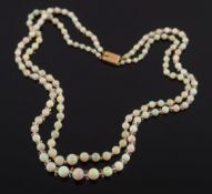 A graduated opal bead two string necklace:, the opals graduating from 4mm diameter to 9mm diameter,