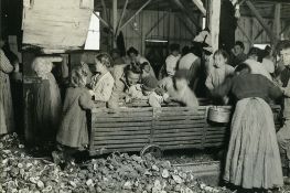 Lewis Wickes Hine [1874-1940, Winsconsin,