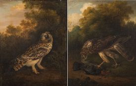 Circle of Henry Leonidas Rolfe [circa 1840-1860]-
Barn owl at the edge of woodland;