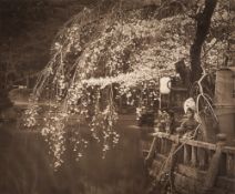 * Herbert George Ponting [1870-1935] -
Cherry Blossom Time in Japan. 
carbon print:-
37.3 x 45cm.