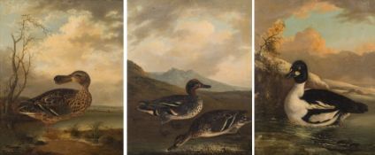 Circle of Henry Leonidas Rolfe [circa 1840-1860]-
Waterfowl on a lakeside,