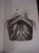 LIZARS, John - A System of Anatomical Plates of the Human Body,