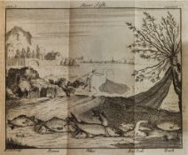 ST. JOHN, Charles - A Sportsman and Naturalist's Tour in Sutherlandshire,: 2 vols., Illustrated, hf.