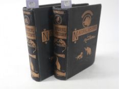 WOOD, J.G. - The Illustrated Natural History,: 2 vols., cl., 4to., together with three others.
