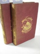 BREE, C.R. - A History of the Birds of Europe,: Vols I & III only, Illustrated with 121 col. plts.