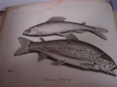 HOWITT, S. - The Angler's Manual,: 11 plates (of 12), hf. mor., ob. 8vo., 1808.