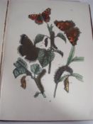 SEEBOHM, Henry - Coloured Figures of the Eggs of British Birds,: portrait and 60 col. plates, cl.