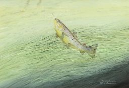 Robin Armstrong (1947) Otter Brownie 1.6.