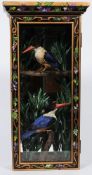 (Halcyon pileata) A cased pair of Black-capped kingfishers:,