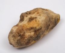 A small section of ambergris: 8cm. long.