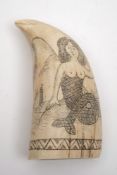 A scrimshaw decorated tooth:,