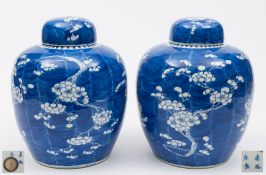 A pair of Chinese porcelain 'prunus' jars and covers: of oviform with domed covers painted in blue