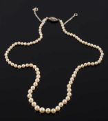 A graduated cultured pearl single string necklace: with diamond mounted marquise shaped clasp.