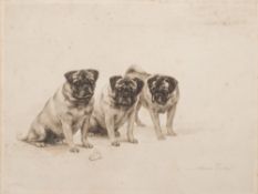 After Maud Earl [1864-1943]- Three pug dogs and a Brimstone butterfly. No.
