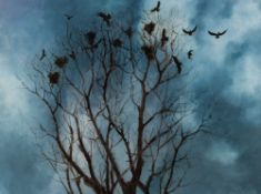 * Anthony Amos [1950-2010]- Rooks in a tree top:- signed lower right oil on board 75 x 101cm